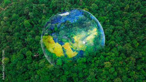 Aerial view of the green forest against the land. Demonstrates the concept of preserving the ecosystem and nature, air pollution and saving the planet. 