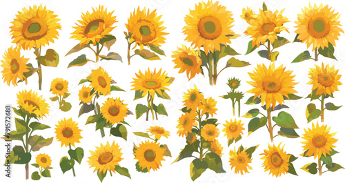 sunflower clipart vector for graphic resources