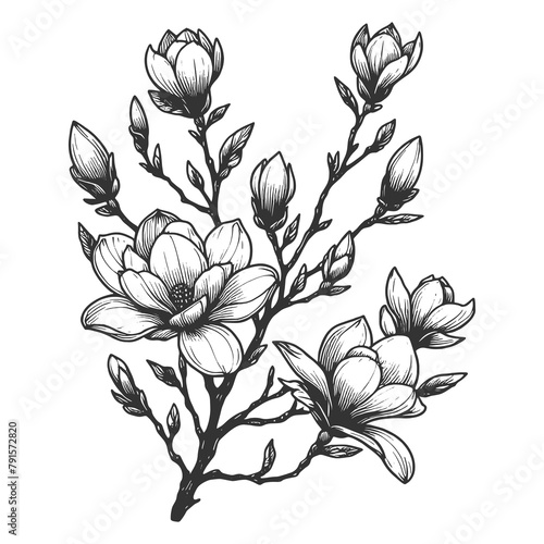 magnolia branch in bloom  exquisite flowers sketch engraving generative ai raster illustration. Scratch board imitation. Black and white image.