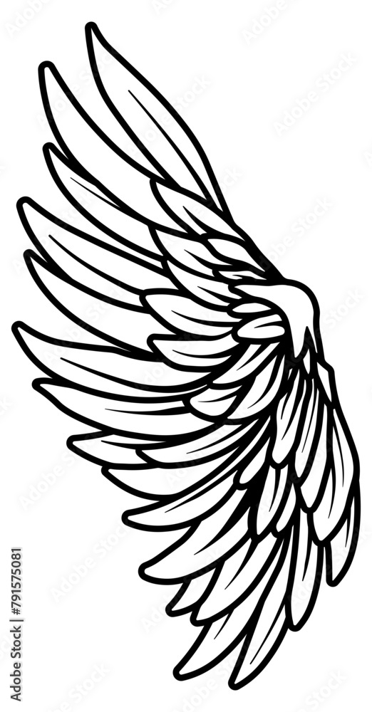 Fototapeta premium black and white wings without background