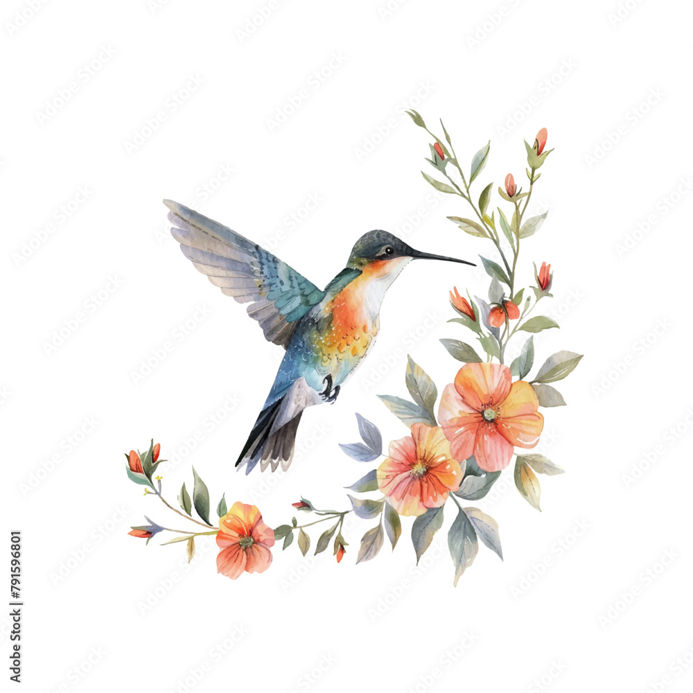 floral hummingbird vector illustration in watercolor style