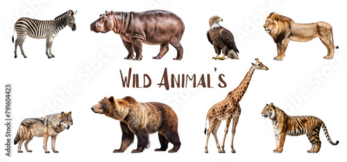 collection of portraits of Wild animals in relaxed poses  realistic 3d illustration isolated on transparent background