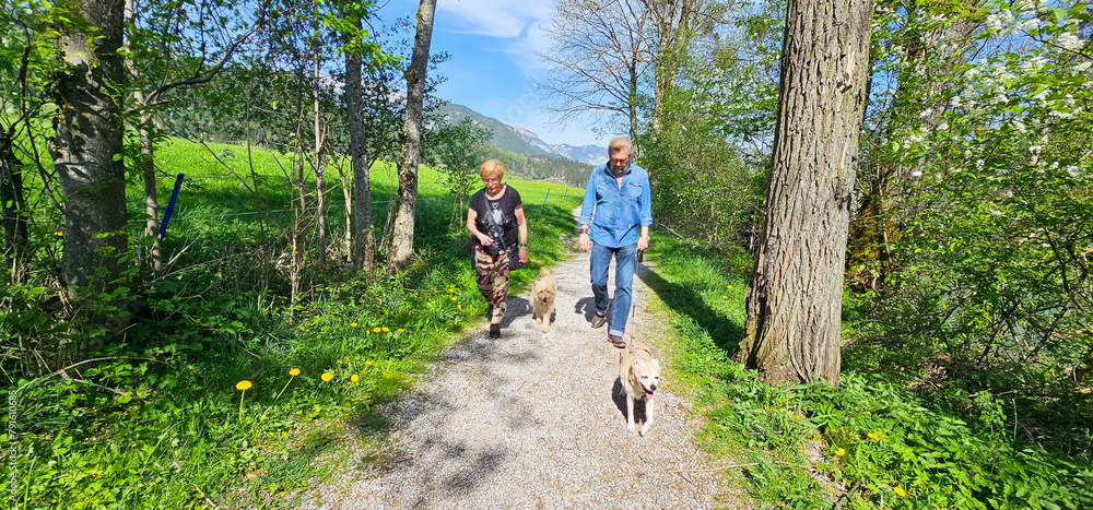 Fototapeta premium Familie mit Hunden in Natur