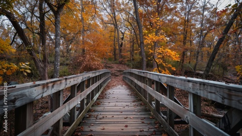 Wooden bridge amidst autumn trees