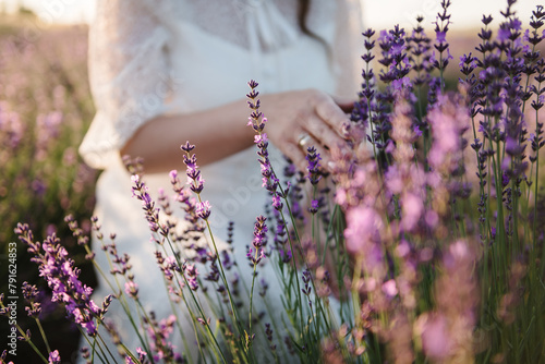 Fototapeta Naklejka Na Ścianę i Meble -  Beautiful female holding purple flowers lavender in field at sunset. Girl hands collect lavender. Woman in lavender field. Enjoy the floral glade on a summer day. Closeup.