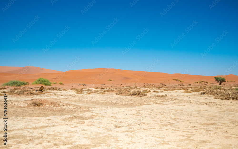 Dried-up water pan in the desert surrounded by sparse plant growth and sand dunes. Dried-up water pan in the desert surrounded by sparse plant growth and sand dunes.