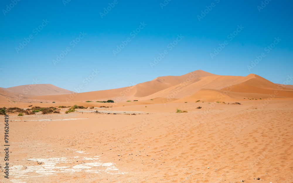 View of sandy desert dunes with sparse plant growth.