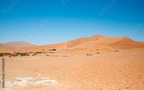 View of sandy desert dunes with sparse plant growth.