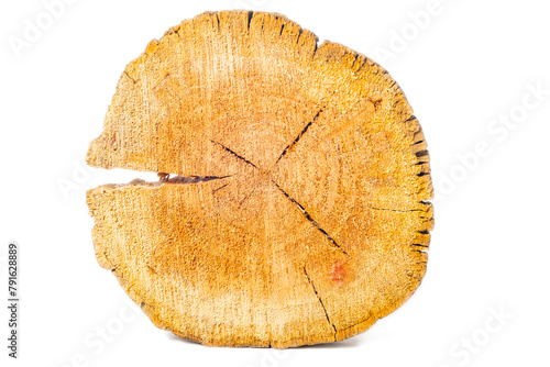 Cracked tree ring. Close-up on a white background.