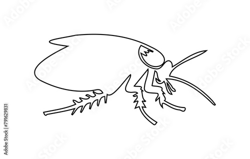 Black outline of cockroach on white background Illustration. Icon, sign, pictogram, print. Design element. Pest control and infestation concept for design, print and educational material