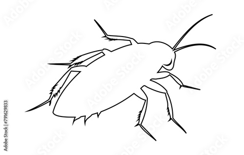 Black outline of cockroach isolated on white background. Illustration. Icon, sign, pictogram, print. Design element. Pest control and infestation concept for design, print and educational material