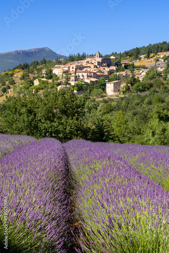The hilltop village of Aurel in Provence with lavender fields in summer. Albion Plateau in Vaucluse, Provence-Alpes-Cote d'Azur Region, France
