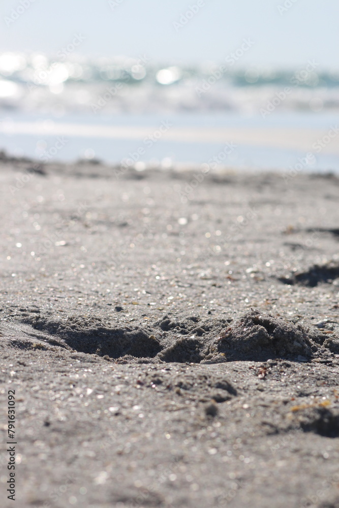 Closeup of wet sand on the beach on a sunny day Closeup of wet sand on the beach on a sunny day