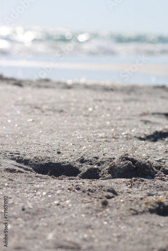 Closeup of wet sand on the beach on a sunny day