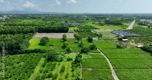 Aerial view of Taitung field in countryside photo
