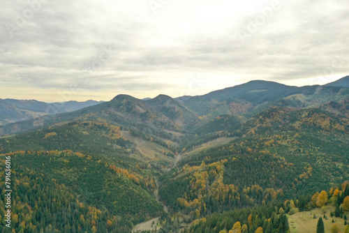 Aerial view of beautiful mountain forest on autumn day © New Africa