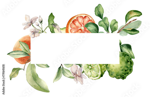 Frame with various citrus fruits and leaves watercolor illustration isolated. Bergamot on branch. Hand drawn grapefruit and jasmine in botanical sketch style for aroma products, package cosmetic