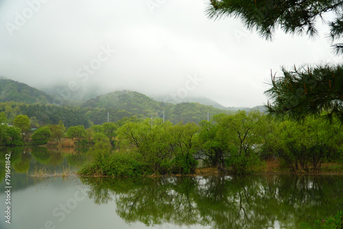 Spring in the Mulbit Park of Ungil Mountain photo