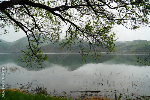 Spring in the Mulbit Park of Ungil Mountain photo