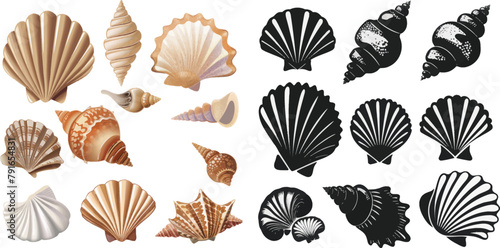 Pearl seashell silhouettes