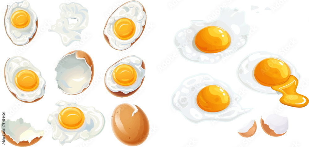 Vector omelet and broken eggshell with whole yolk