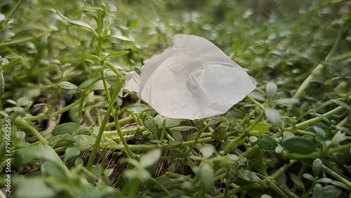 Wind moving small fragment or piece of nondegradable plastic trash, litter, rubbish, garbage or waste isolated on park ground green grass. Environment pollution issue or problem concept. Closeup view. photo