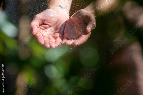 Hands holding a small bird tenderly photo