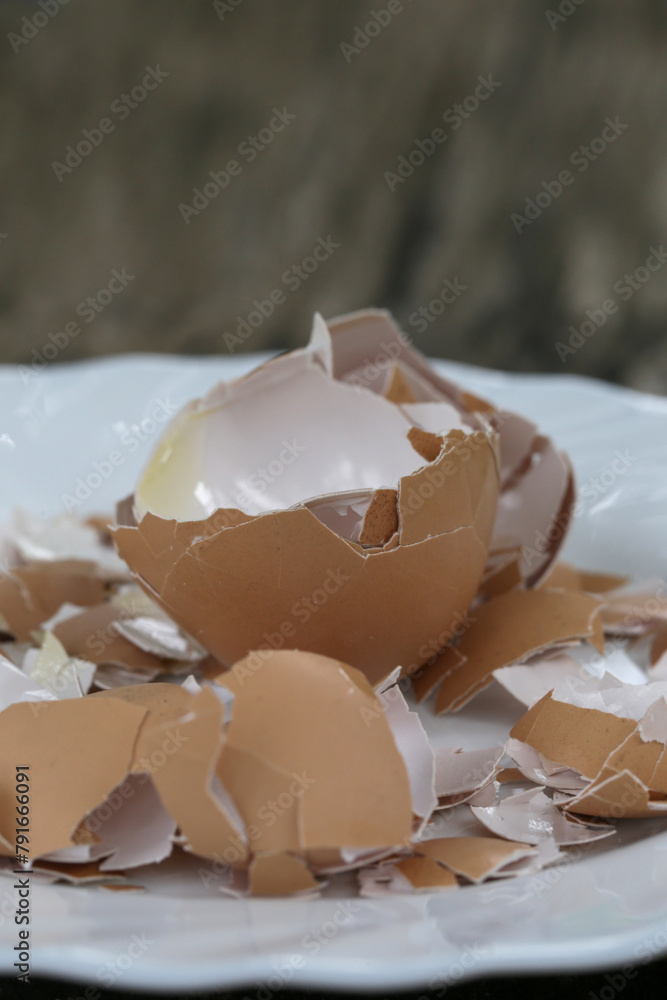 Crushed egg shell on the plate, cn be used as a calcium and mineral rich additive to wild bird feed and chicken feed, garden fertilizer, to improve the quality of compost and as diet supplement Crushed egg shell on the plate, cn be used as a calcium and mineral rich additive to wild bird feed and chicken feed, garden fertilizer, to improve the quality of compost and as diet supplement