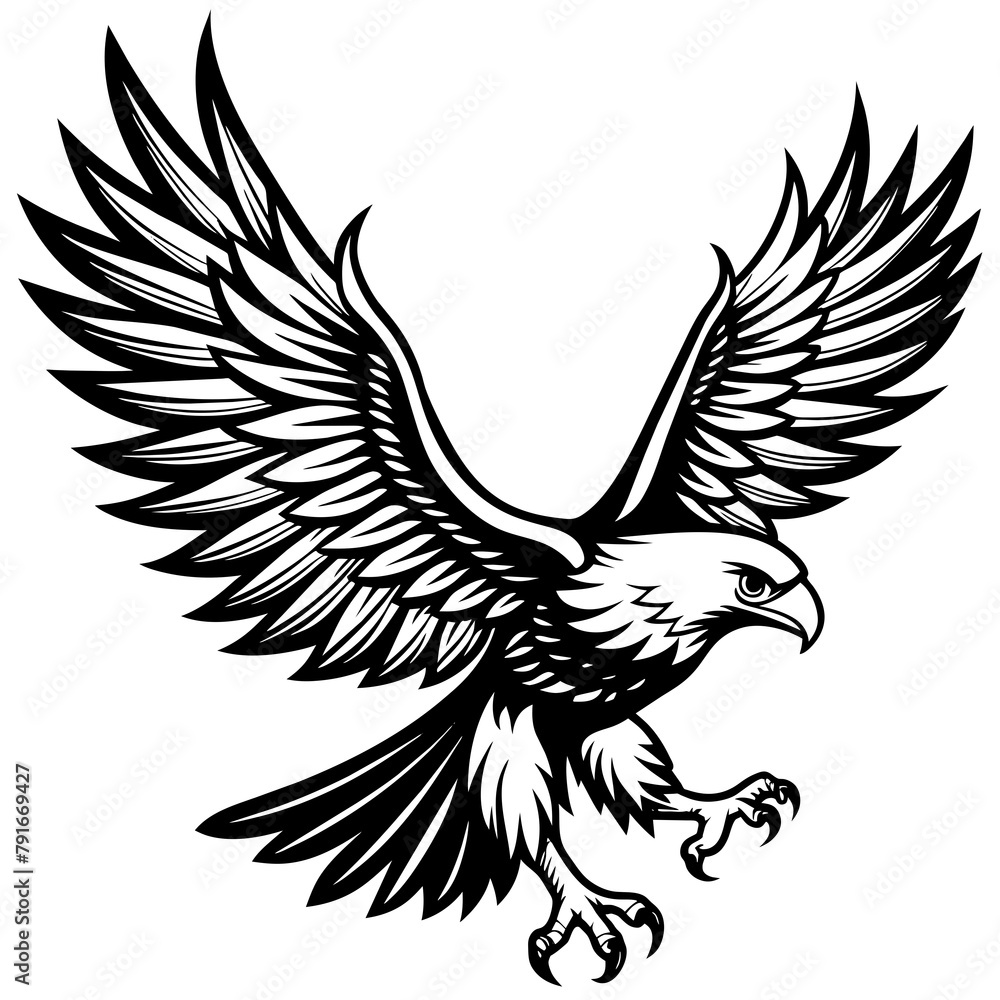 Fototapeta premium eagle with wings vector art illustration