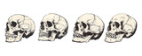 Hand drawn Skull or skull tattoo on transparent background