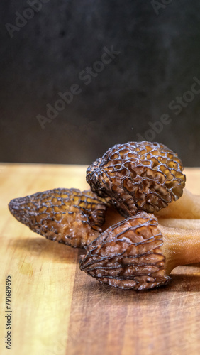 Morel Mushroom. Morchella esculenta. Valuable, edible fungi