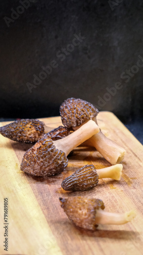 Morel Mushroom. morchella esculenta. Valuable, edible fungi