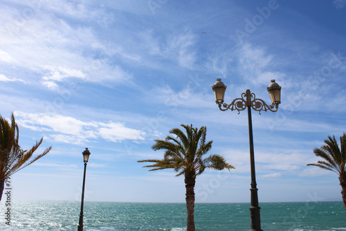 trees on the beachnatural blue background, beautiful coast of the Mediterranean Sea in Alicante, Spain,  photo