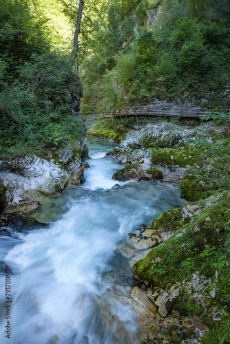 Walking Through Vintgar Gorge, Slovenia photo