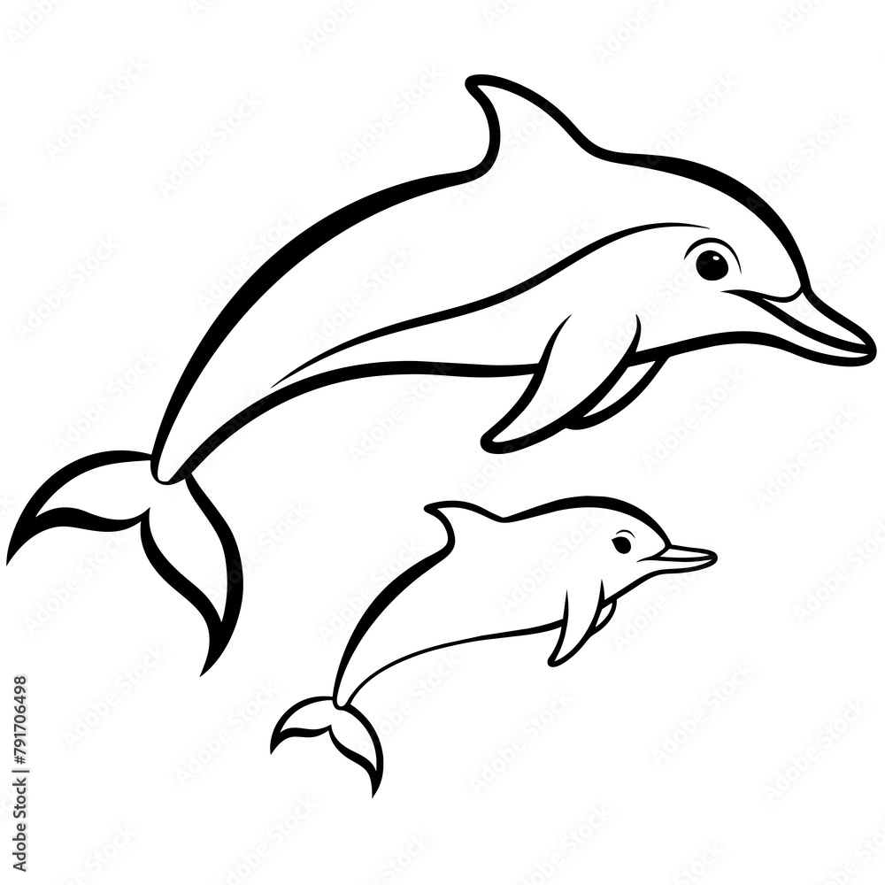 dolphin isolated on white dolphin isolated on white