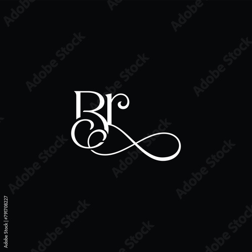 Elegant Letter B and R Logo