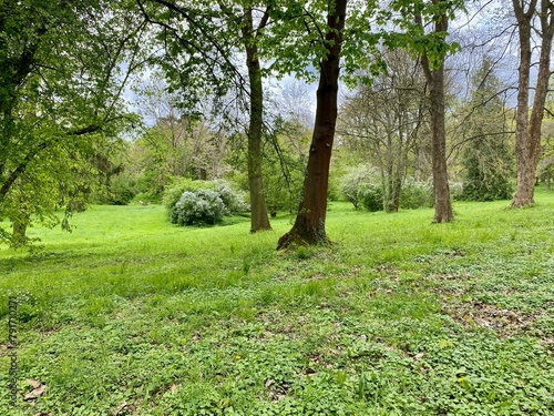 Der Park Hohenrode in Nordhausen photo