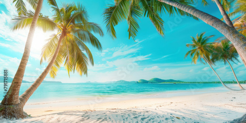 Palm tree on tropical beach with blue sky and white clouds  summer holiday background 