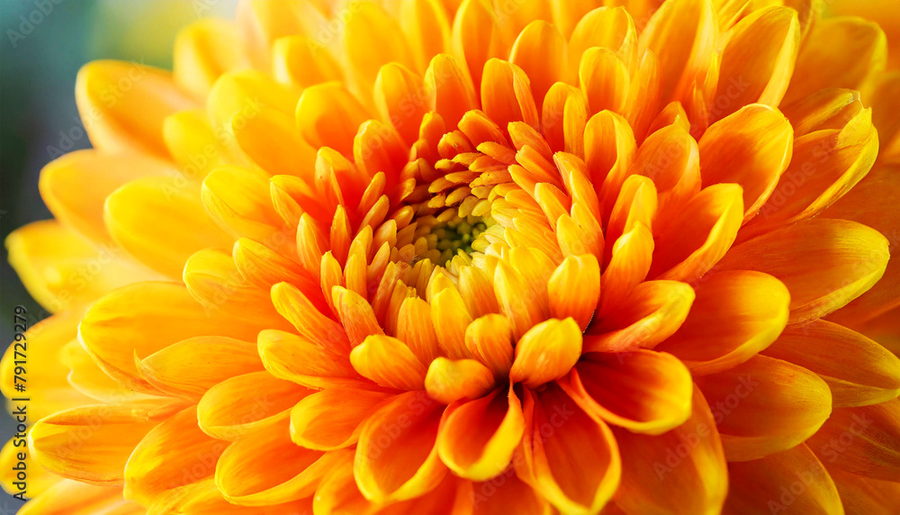 Extreme close-up of a beautiful yellow-orange chrysanthemum flower, full frame, macro photography. Spring and summer floral background. Generative Ai. Extreme close-up of a beautiful yellow-orange chrysanthemum flower, full frame, macro photography. Spring and summer floral background. Generative Ai.