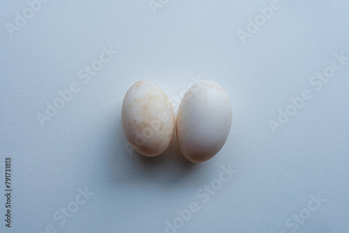 White Easter eggs and chocolate egg arranged on a table, isolated Breakfast food, fresh and healthy, with shadows and close-up details