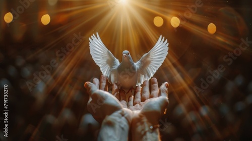Human hands open palm up worship. Eucharist Therapy Bless God Helping Repent Catholic Easter Lent Mind Pray. Christian Religion concept background. Winged dove Testament Holy Spirit Religious photo