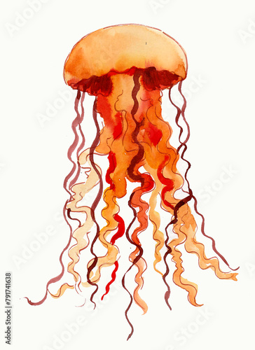 Tropical jellyfish. Hand-drawn watercolor sketch