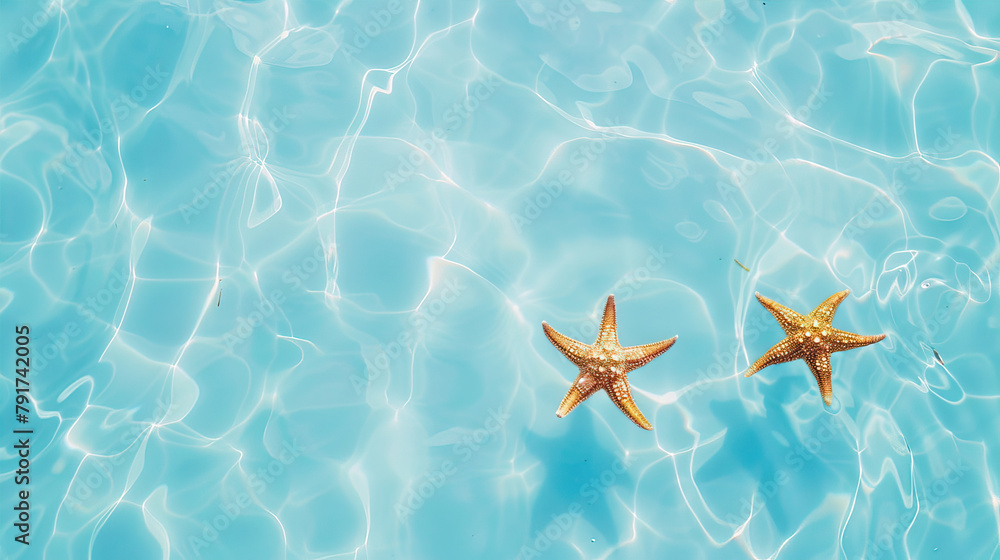 Starfish swim in blue water
Starfish swim in blue water
