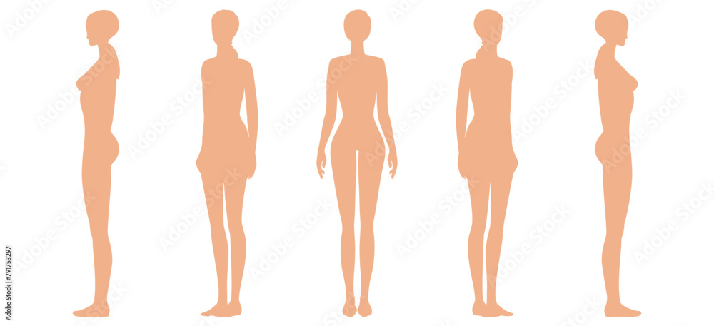 Woman body. Full-length standing portrait. Set of body-positive female. Five angles figure front, 3 of 4, side views shape. Vector fashion silhouette outline line illustration Woman body. Full-length standing portrait. Set of body-positive female. Five angles figure front, 3 of 4, side views shape. Vector fashion silhouette outline line illustration