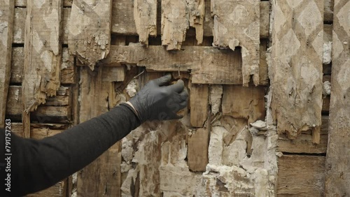 Old wooden wall damaged by termites. Close-up view. Rotten wall. Real photo.