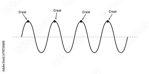 The basic properties of waves in physics. Parts of a transverse wave.