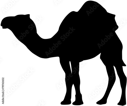 Camel icon. Camel Silhouette 