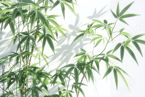 Bamboo leaves on white wall background with shadow  Ai generated