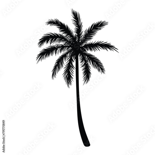 black silhouette of palm tree isolated on white background