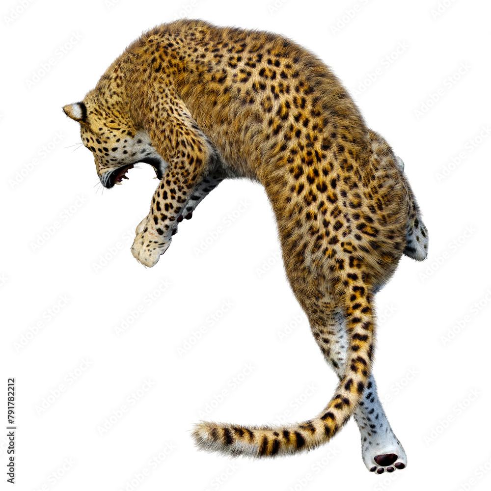 Fototapeta premium 3D Rendering Big Cat Leopard on White